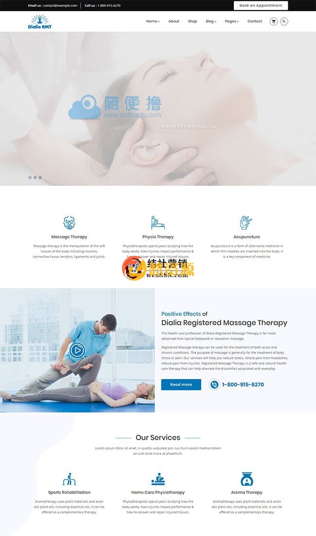 按摩治疗店铺网站模板