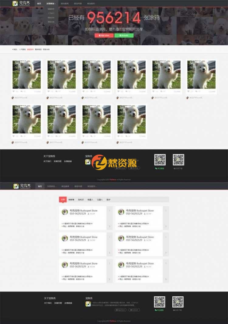 黑色的宠物交流图片分享网站html模板