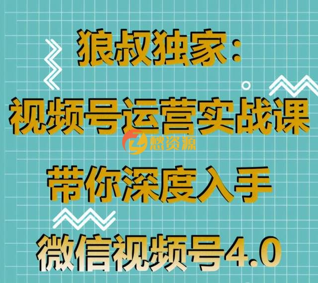 狼叔独家：视频号运营实战课，带你深度入手微信视频号4.0