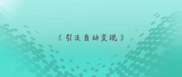 胜子《引流自动变现》特训营,流量是一切的根本，来学习引流