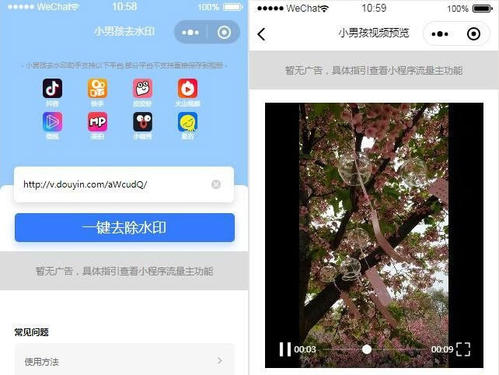 抖音去水印小程序源码 功能模块+无加密+支持二次开发+已去授权+带文本搭建教程