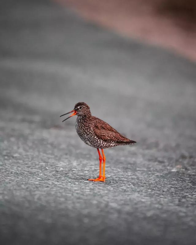 兼职做淘宝，从月入五千到实现财务自由