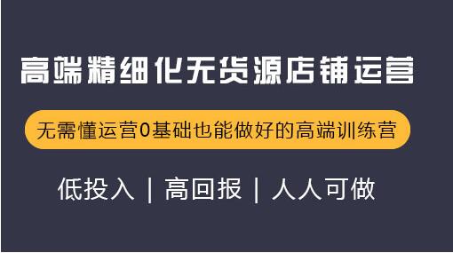 炜达内训课，高端精细化无货源店群店铺运营（价值12800）