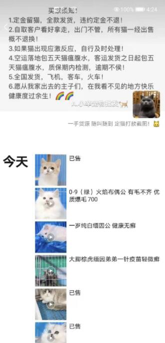 网赚项目：一个闲鱼引流，微信成交的绝对暴利项目！