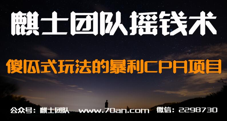 麒士团队摇钱术21:傻瓜式玩法的暴利CPA项目【视频课程】