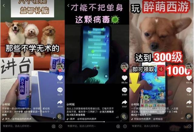 分析完1000个典型案例,告诉你宠物账号都靠什么发财
