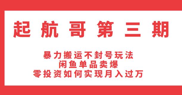 起航哥第三期：暴力搬运不封号玩法，闲鱼单品卖爆和零投资如何实现月入过万