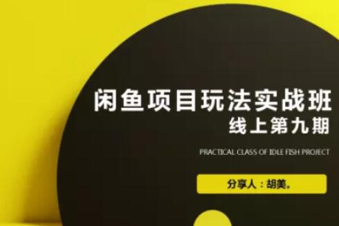 闲鱼项目玩法第9期蓝海营销项目，从0到1实操教您如何批量化去玩（完整无水印版）