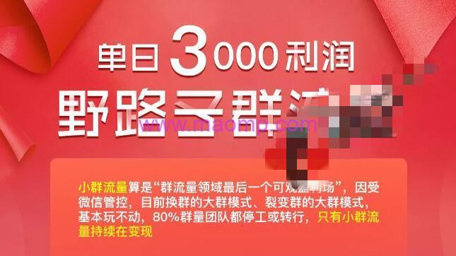 财神大咖会：野路子群流量项目，单日赚取3000利润