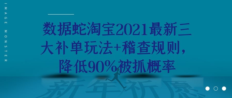 数据蛇淘宝2021最新三大补单玩法+稽查规则，降低90%被抓概率