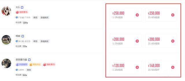 分析完1000个典型案例,告诉你宠物账号都靠什么发财
