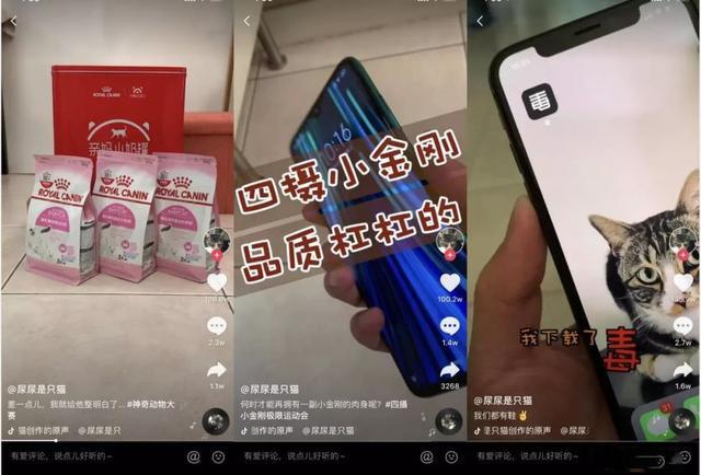 分析完1000个典型案例,告诉你宠物账号都靠什么发财