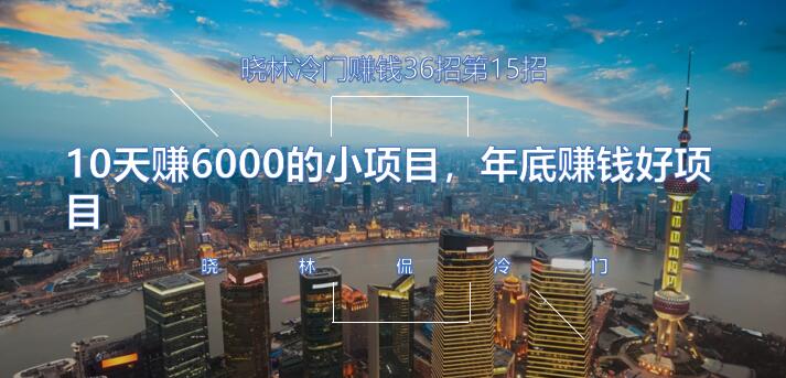 晓林冷门赚钱36招第15招10天赚6000的小项目，年底赚钱好项目【视频课程】