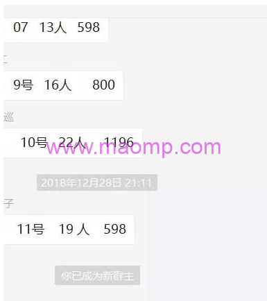 黄岛主：蓝海母婴项目,日赚500-1000+
