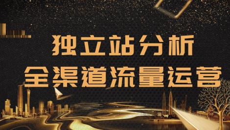 2020跨境电商未来出路,独立站精细化流量运营,手把手教你分析一个网站