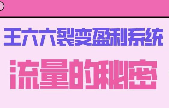 王六六裂变盈利系统课程01流量的秘密（核心诱饵+信任模型+裂变模式）