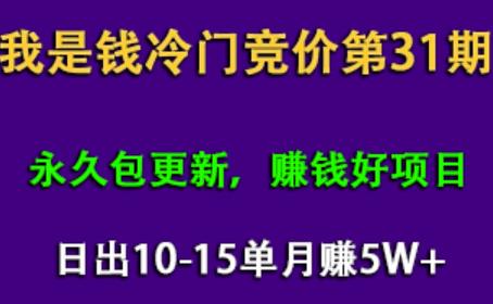 我是钱第31期网授课程网授课百度冷门竞价,日出10-15单,月赚5w+(完结)