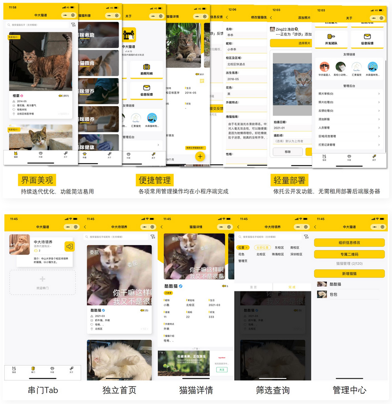 虚拟养猫小程序校园流浪猫信息记录和分享的小程序源码